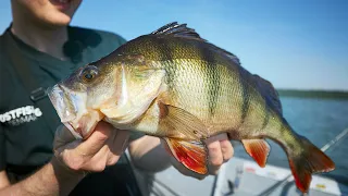 Summer Perch Fishing - Rocking Blade Bait And Jigs For Big Perch!
