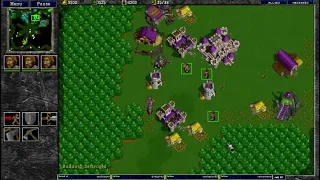 Warcraft 2 KPspwood 3v4