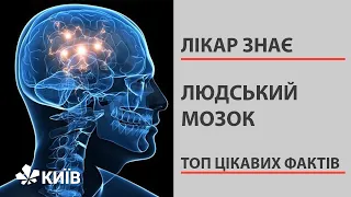 Цікаві факти про людський мозок, які вражають