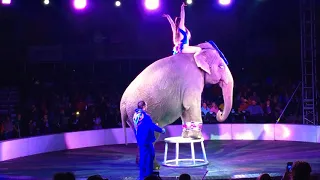 Garden Brothers Circus clip#3: Time for the Elephants