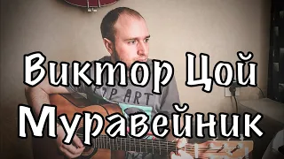 КАВЕР НА ГИТАРЕ  Виктор Цой - Муравейник . Гитара с нуля