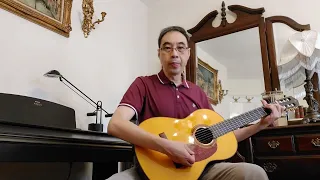 Guitar Solo "Theme from Bilitis" (Francis Lai)