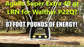 22 Tuesday: Aguila Super Extra 40 gr Copper Plated LRN - Walther P22Q best ammo? Penetration & Power