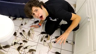 PUTTING 200 RATS IN MY FRIENDS HOUSE!! (FREAKOUT)