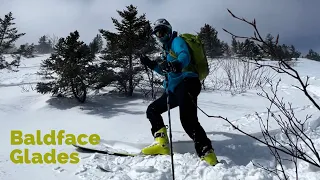 Baldface Glades - East Coast Powder Day