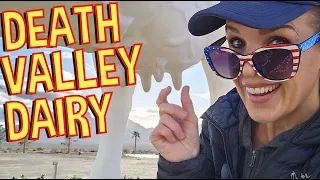 Death Valley Dairy: Udderly Bizarre Farm Area in the Middle of the Mojave Desert Outside Las Vegas