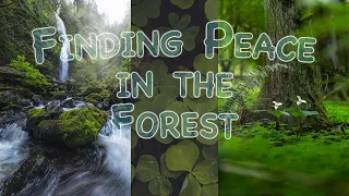 Finding Peace in the Forest | Landscape Photography in the Field | Waterfall | Wildflowers |