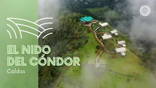 Cómo y dónde es el nido del Cóndor en Colombia?