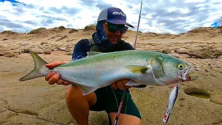 Searching For AUSTRALIAS BIGGEST TAILOR | Surprise possible record fish