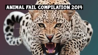 ANIMAL FAIL COMPILATION 2014