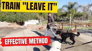 How to train "leave it"