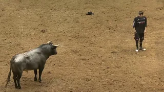 The Beast Pit: American Freestyle Bullfighting -  Knox Dunn | 2019 Albuquerque