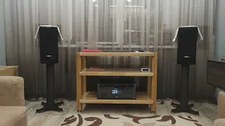 Dynaudio contour 20i + MICHI X5 ( видео 8)