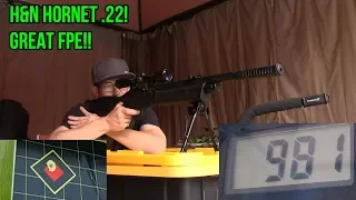 .22 ARMOR PIERCING PELLETS TESTED IN HATSAN VECTIS! PELLETS Ep  4 of 4 H&N Hornet 22 FULL REVIEW