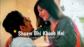 Shaam Bhi Khoob Hai | Slowed+ Reverb | Alka Yagnik ‘ kumar | Heart Touch❤️