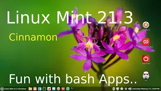Linux Mint 21.3 - Cinnamon - Fun with Bash Apps