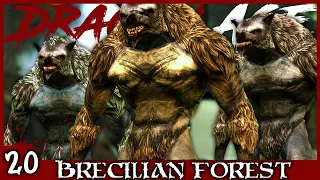 DRAGON AGE ORIGINS Walkthrough Gameplay Brecilian Forest Nightmare No Commentary