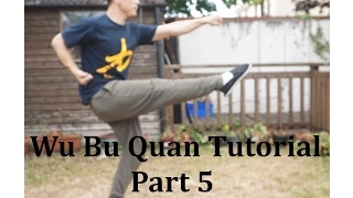 Wu Bu Quan 五步拳 (Five stances form) Part 5 - Master Yan Xin