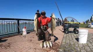 First WALLEYE LIMIT of 2023 - Detroit river fishing