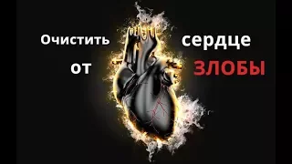 Очистить сердце от злобы | Ильдар Аляутдинов
