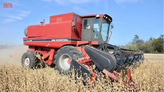 CASE IH 1660 Axial-Flow Combine Harvesting Soybeans