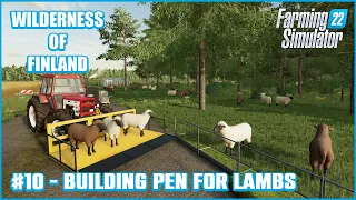 New Husbandry For Baby Sheep, Planting Wheat - #10 Korpi Map - Farming Simulator 22 Timelapse