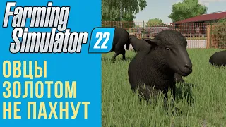 🐑 Всё об овцах в Farming Simulator 22