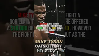 Mike Tyson VS gorilla