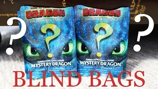 How To Train Your Dragon Hidden World Blind Bag Opening