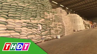 Doanh nghiệp Việt liên tiếp trúng các gói thầu xuất khẩu gạo | THDT