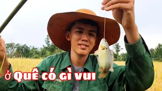 Ở Quê Có Buồn Không ? Một Buổi Chiều Câu Cá Rô