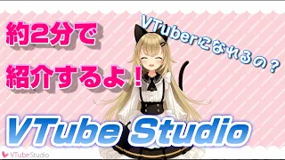 VTubeStudioを簡単に紹介するよ〜Live2Dを動かしてVTuberになる！〜