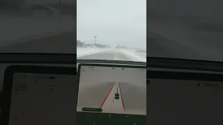 Tesla full self-driving autopilot in whiteout conditions and blowing snow fail