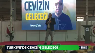 Türkiye de Cevizin Geleceği - Ceviz Bahçesi Kurmak Hala Karlı mı?