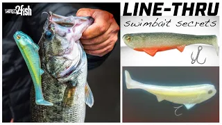 How to Rig and Fish Line-Through Soft Swimbaits