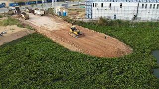 Stunning New Road Construction Over Water Hyacinth​ Lake Bulldozer Spreading Dirt Truck Unloading