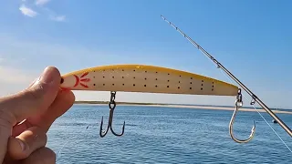 When You Time the Tides Just Right || May Striped Bass On The Cape (Day 2)