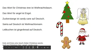 German Vocabulary Christmas Online Book