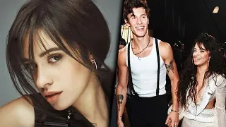 Camila Cabello Wants to Protect Shawn Mendes Relationship