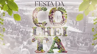 FESTA DA COLHEITA | CULTO AO VIVO - IGREJA VIDEIRA | 02.07.23