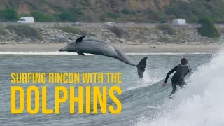 Surfing Rincon With The Dolphins