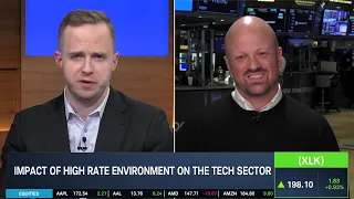 Impact of a High-Rate Environment on the Tech Sector