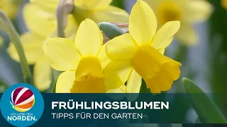 Gärtnerei gibt Tipps für den Garten im Frühling