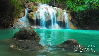 MEDITAÇÃO -Tomar a Força da Mãe | Instituto Koziner