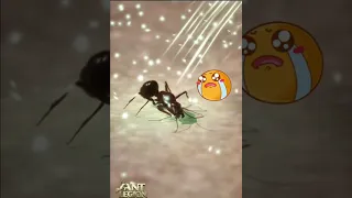 Ridiculous Ant Legion game ad