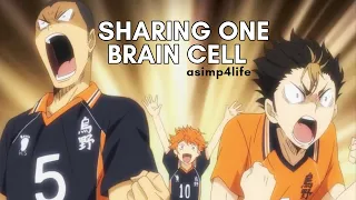 nishinoya, tanaka, & hinata sharing one brain cell | FUNNY HAIKYUU!! VIDEOS