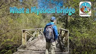 What a Mystical Bridge