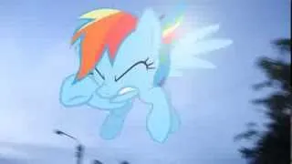 MLP:In Real Life - Rainbow Crash!