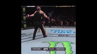 Cutelaba vs Ankalaev WORST STOPPAGE IN UFC HISTORY