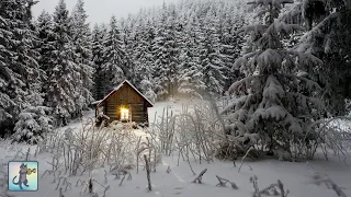 Relaxing Snowfall: Woodland Cabin  - The Best Relax Music